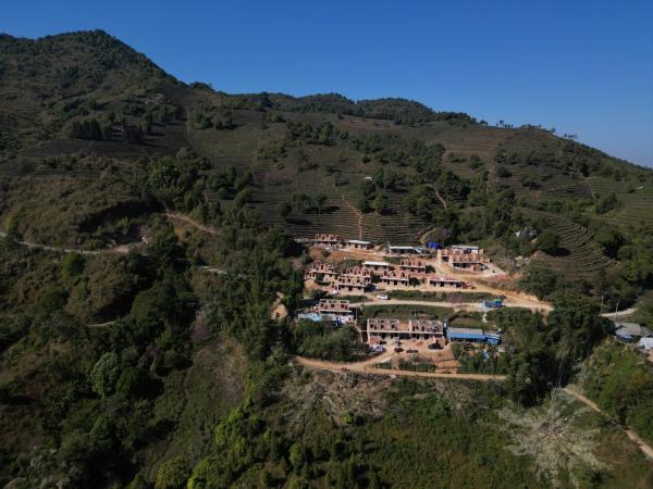 Attention to new residences, tea tourism to retain people? Yunnan Dayi explores a new path for rural revitalization on tea mountains