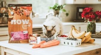 GO! Cat food | Two minutes to teach you how to choose pet food for cats