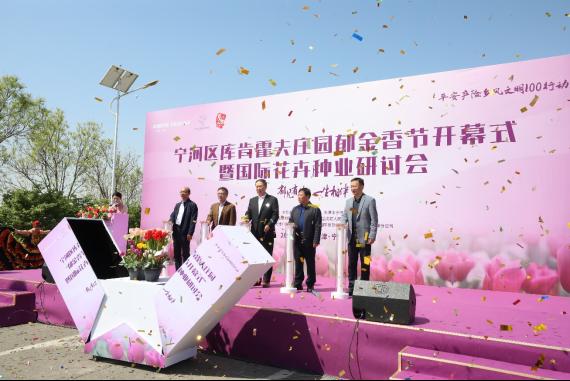 “Using flowers as a medium to revitalize the countryside”, Ping An Property & Casualty Tianjin Branch’s “100 Actions for Rural Culture and Civilization” helped the opening of the Ninghe Tulip Festival