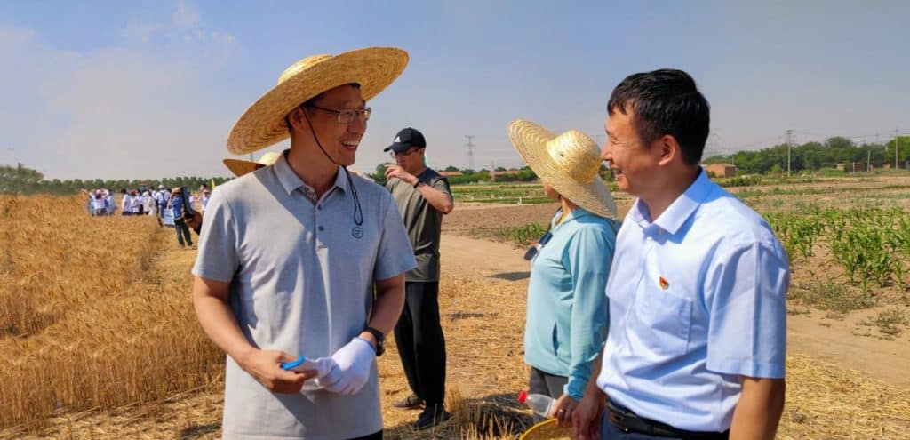 Let farmers grow grain steadily and harvest grain at ease Tianjin Binhai Rural Commercial Bank fully escorts the summer grain “harvest full warehouse”