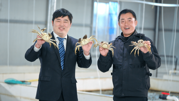 A hairy crab transforms into a “financial correspondent” of Fumin Crab Industrial Bank to help write “crab articles”