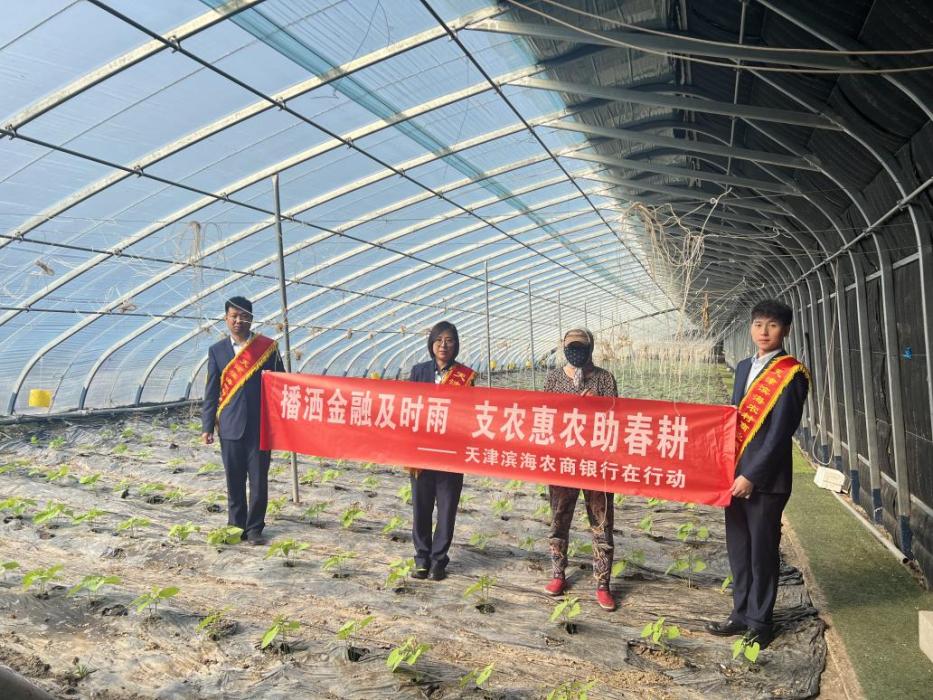 Tianjin Binhai Rural Commercial Bank’s “Financial Spring Rain” helps spring plowing at the right time